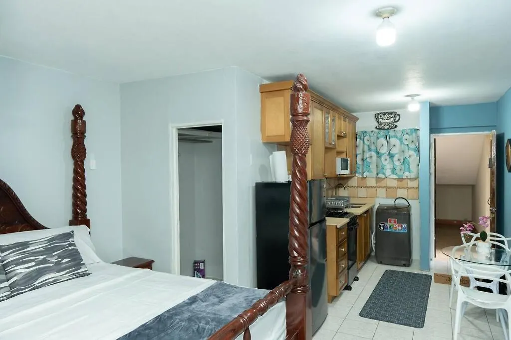 Apartment New Kingston Central Location Gated