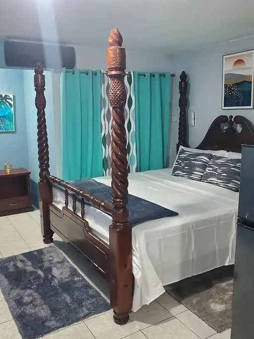 Apartment New Kingston Central Location Gated