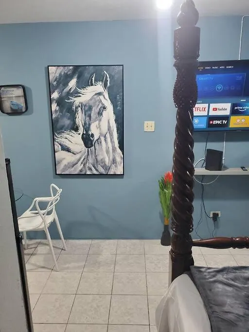 Apartment New Kingston Central Location Gated