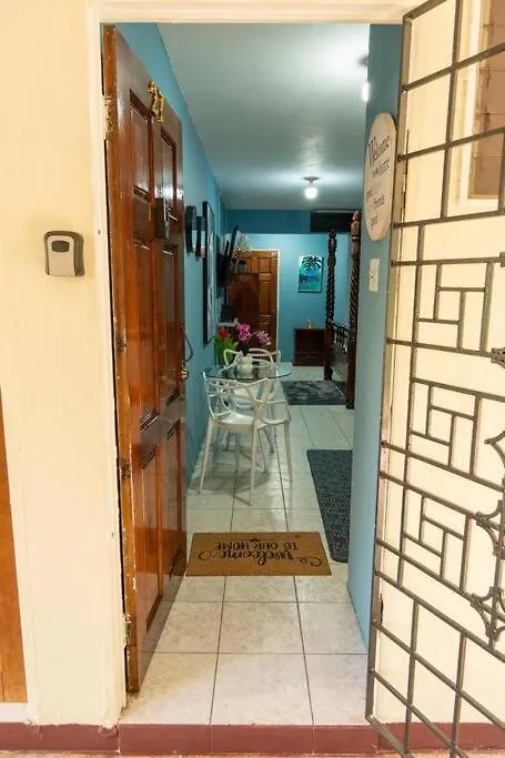 New Kingston Central Location Gated Apartment