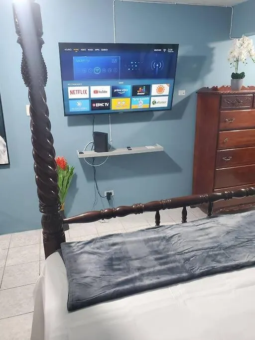 New Kingston Central Location Gated Apartment