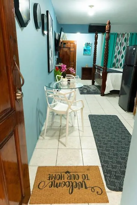 Apartment New Kingston Central Location Gated