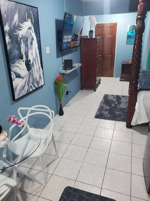 Apartment New Kingston Central Location Gated