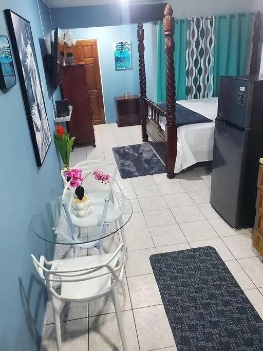 New Kingston Central Location Gated Apartment