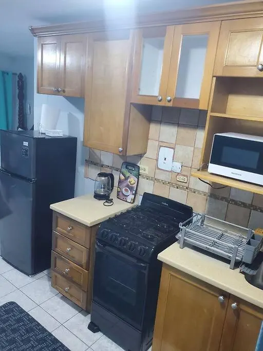 Apartment New Kingston Central Location Gated