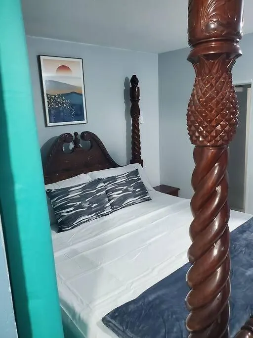 New Kingston Central Location Gated Apartment