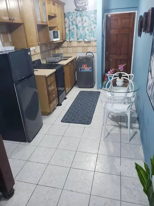 Apartment New Kingston Central Location Gated